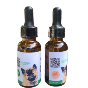 CBD Oil for Dogs