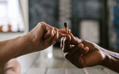 the Mexican government published regulations that allowed for the use of hemp-derived CBD products under specific conditions.

Understanding Hemp vs. Marijuana

One crucial aspect of the legality of CBD in Mexico is the distinction between hemp and marijuana. Hemp is defined as cannabis with less than 0.3% THC (tetrahydrocannabinol)