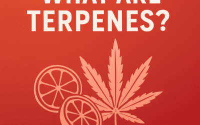 What are Terpenes?