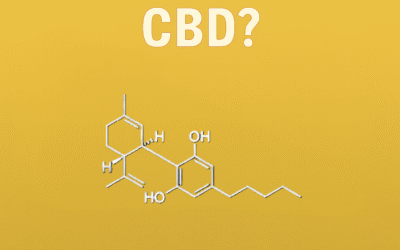 What is CBD?