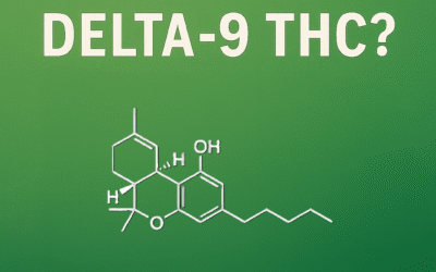 What is Delta 9 THC?